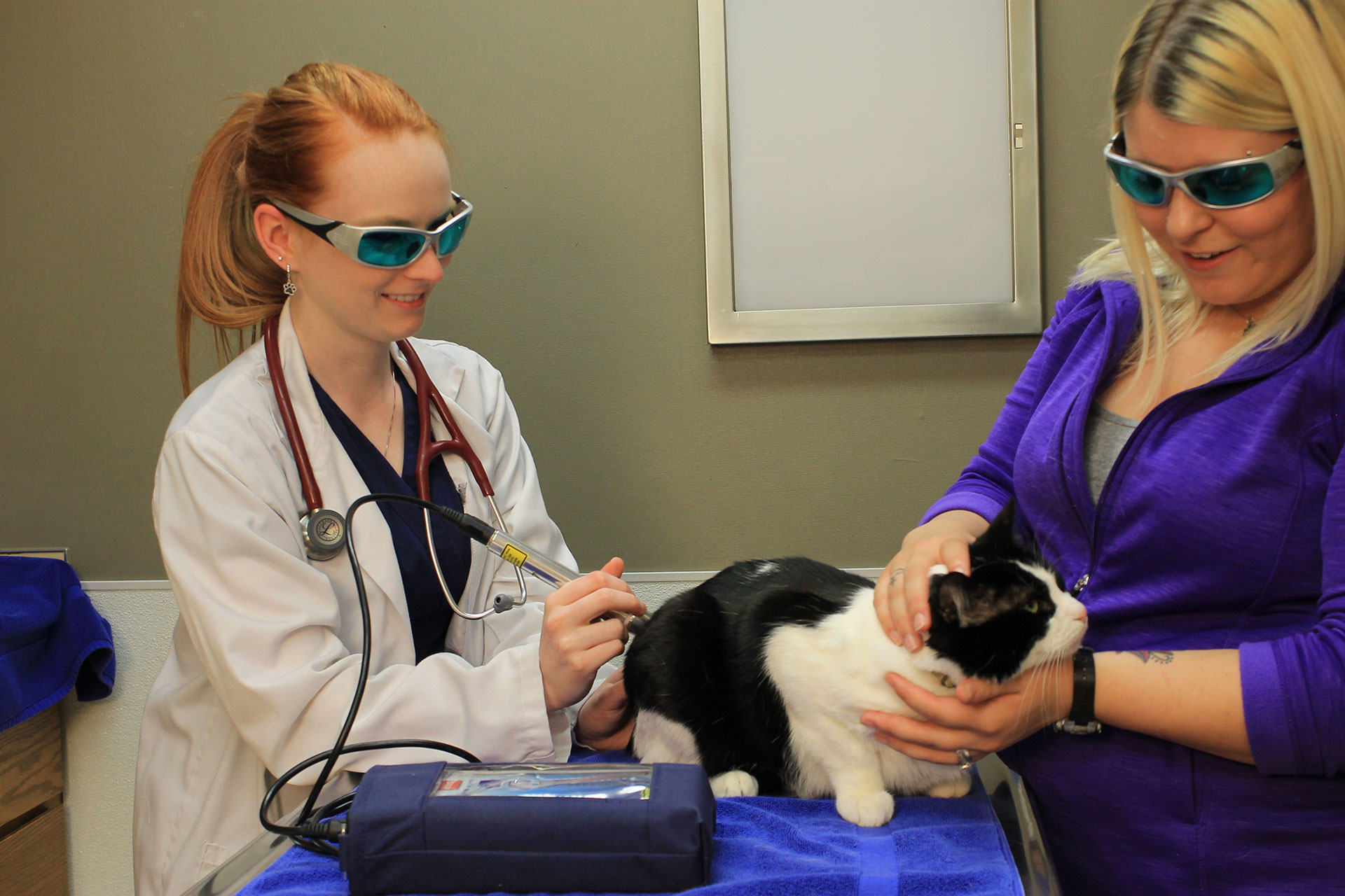 Laser Therapy  Pell City, AL 